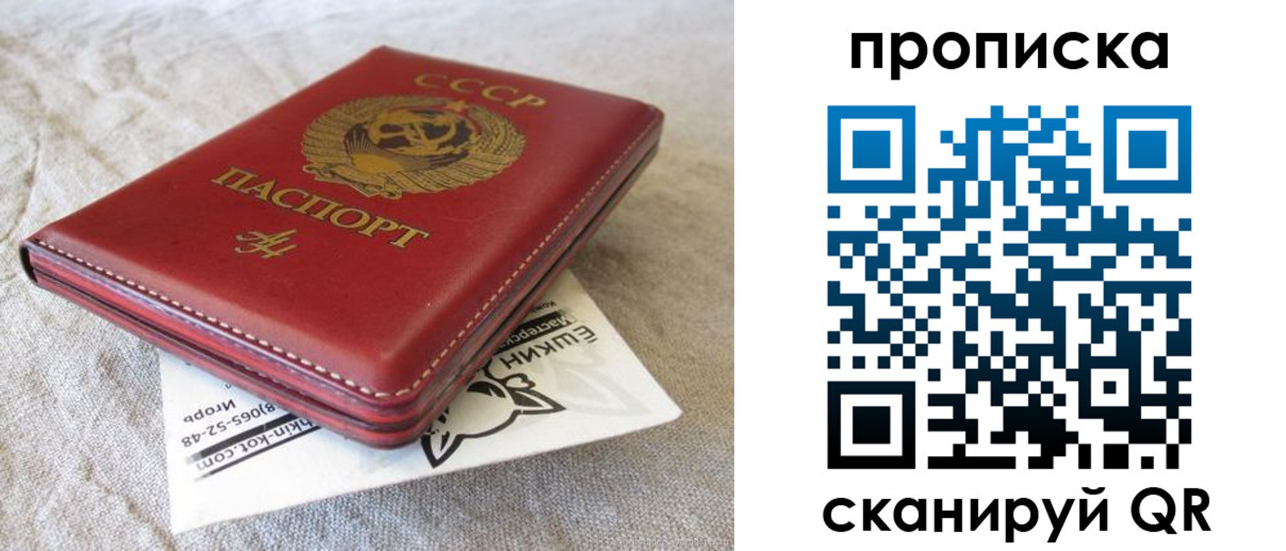 прописка для школы в Дятьково